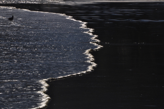 Port San Luis beach